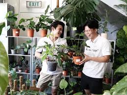 Our premium line of indoor gardening supplies features everything you need to quickly and efficiently grow your favorite plants. 15 Best Plant Shops In Singapore For Starting Your Indoor Garden