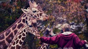 How To Become An Animal Keeper: Bachelor's Degree In Zoo Science