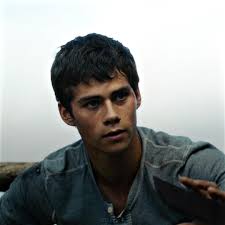 Thomas Maze Runner Series