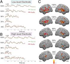 One implementation of isothermal caes uses high, . Electrocorticographic Responses To Time Compressed Speech Vary Across The Cortical Auditory Hierarchy Biorxiv