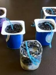 Google Jardinons A L Ecole Mangeoire Oiseau Graines De Tournesol