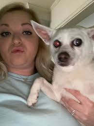 Owner found 🐾🙏🏻🐾 Contact Emily Peterman if you recognize this baby  🐾🙏🏻🐾 Hattiesburg Ms