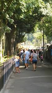 Rio de janeiro jardim botânico. Jardim Zoologico Do Rio De Janeiro Legenda Cultural