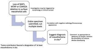 Maybe you would like to learn more about one of these? The Concept Of Mesothelioma In Situ With Consideration Of Its Potential Impact On Cytology Diagnosis Sciencedirect