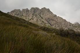 Encuentra grandes ofertas a itatiaia national park y reserva el hotel perfecto gracias a las 760 paquetes de vacaciones en itatiaia national park. Itatiaia National Park Brazil Maria Ogrzewalska Flickr