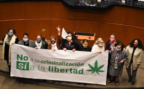 El debate llevaba memes atorado en la cámara alta hasta ahora que por fin los legisladores llegaron a una conclusión y pudieron turnar la iniciativa. Marihuana Los Mejores Memes Sobre Aprobacion Para Uso Ludico