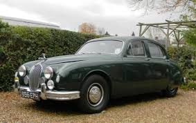 Steve Weitzner (steveweitzner)