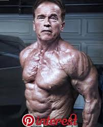 That means you, too, spring breakers. Arnold Schwarzenegger Height Weight Bodybuilding Entertainment