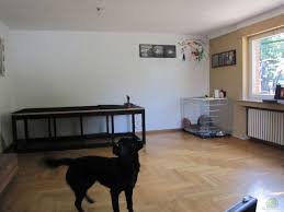 Erfahrungsbericht vom hausbau, 120 wohnzimmer wandgestaltung ideen! Aquarium Wildes Wohnzimmer Nur Noch Als Beispiel Aus Wildes Wohnzimmer Nur Noch Als Beispiel Von