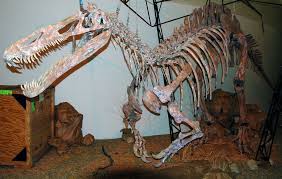 Image result for Suchomimus
