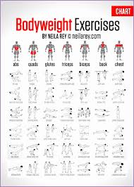 Bodybuilding Exercises Chart Free Download Csexha Awesome