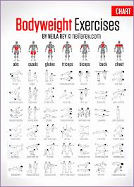 bodybuilding exercises chart free download csexha awesome