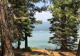 Rent a whole home for your next weekend or holiday. Knotty Pines Cabins Campground Reviews Shaver Lake Ca Tripadvisor
