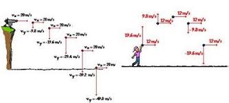 Ball Trajectory Parabola Above Diagram Shows That There Is No Change In Horizontal Velocity Physics Parabola Diagram