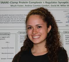 High School seniors advance in prestigious Siemens competition