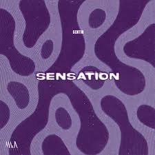Image result for Sensation