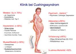Over 100,000 english translations of german words and phrases. Fragen Endokronologie Flashcards Chegg Com