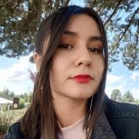 100+ "Zenil" profiles