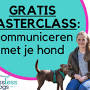 Trimsalon Agnes from www.doggo.nl