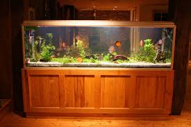 Check out here the very fantastic and durable model of wooden fish tank stand; 55 Gallon Fish Tank Our Top Five Choices Aquariadise