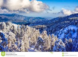 Troodos-Gebirgszug Im Winter Zypern Stockbild - Bild von schneefälle,  kiefer: 85368299