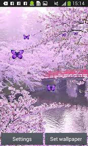Wallpaper bunga sakura gugur bergerak. Sakura Live Wallpapers For Android Apk Download