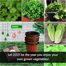 Whether You Have Always Dreamed Of Having A Flower Garden Or Want To Start A Backyard Vegetable Garden Thes Growing Vegetables Kitchen Garden Plants By Season