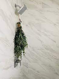 Shower Eucalyptus Bundle Fresh Eucalyptus Aromatherapy Etsy Fresh Eucalyptus Eucalyptus Shower Shower Plant