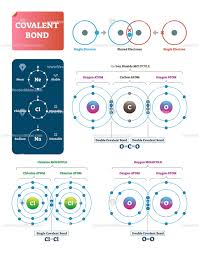 Covalent Bond Vector Illustration Infographic Diagrams Covalent Bonding Teaching Chemistry Chemistry Classroom