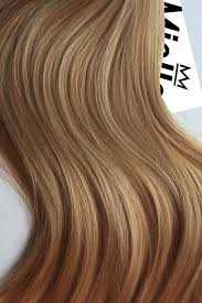 How would you describe this? Caramel Blonde Color Swatch Caramel Blonde Hair Blonde Color Caramel Blonde