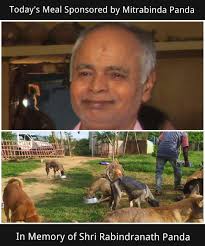 Animal Welfare Trust Ekamra-AWTE-Odisha