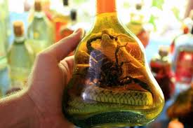 Image result for snake wine