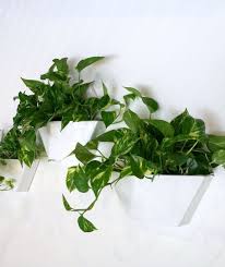 About 45% of these are flower pots & planters, 0% are hanging baskets. Indoor Hanging Planters Wall Hanging Planters Frenchams