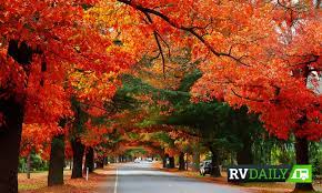 Jun 01, 2021 · a suspended driver has been fined $550 and his licence was disqualified for three months in orange local court. Rv Daily Top 5 Last Minute Touring Destinations For Autumn