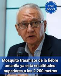 Siguen creciendo las alertas por el brote de fiebre amarilla en Colombia y  las autoridades invitan a la ciudadanía a vacunarse. De acuerdo a lo  expresado por el ministro Guillermo Alfonso Jaramillo,