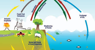 Jadi gini, pada rumah kaca, panas matahari dapat masuk, tapi sulit (bukan tidak bisa ya) keluar. Mengenal Gas Rumah Kaca Pemicu Pemanasan Global