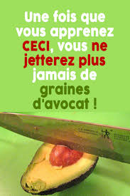 Une Fois Que Vous Apprenez Ceci Vous Ne Jetterez Plus Jamais De Graines D Avocat Nutrition Food Health