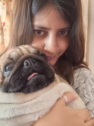 Goodmorning everyone🩷-aLLuka🌼 #furmom #dog #puglife #blackpug #pug  #petlovers #Alluka