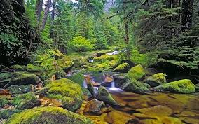 A term used to describe a smooth and seamless transition between musical notes. Whistler Land Company