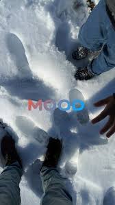 фото на аву в вк для девушек без лица зимой Pin On Ib