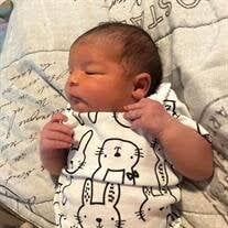 Colleen Elizabeth Eagle Obituary