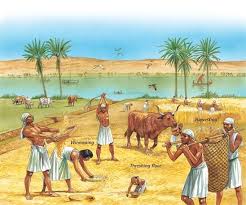 History Of Ancient Egypt Ancient Egypt Farming Ancient Egypt Art Ancient Egypt History