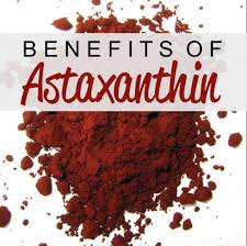 Hasil gambar untuk astaxanthin
