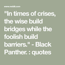 In Times Of Crises The Wise Build Bridges While The Foolish Build Barriers Black Panther Quotes Black Panther Quotes Over It Quotes Get Over It Quotes