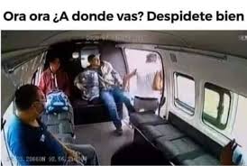 With edna schmidt, pamela silva conde, adriana cataño, ilan arditti. Los 10 Mejores Memes Del Ratero De La Combi Golpeado