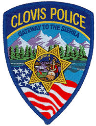 This Is A Cool Looking Patch Police Patches Police Patches Police Police Patches Patches