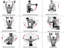 Image result for Shoulder Strength Exercises