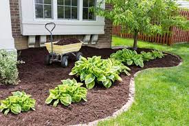 How To Stop A Dog From Eating Mulch Dogdorable