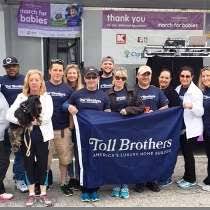 These highly desirable areas offer sophisticated shopping and dining options, highly ranked schools, and easy access to the renowned dc metro for transportation. Toll Brothers Reviews Glassdoor