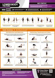 Image result for Stretching Program